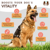 Some key benefits of the Natural Dog Company Wild Alaskan Salmon Oil