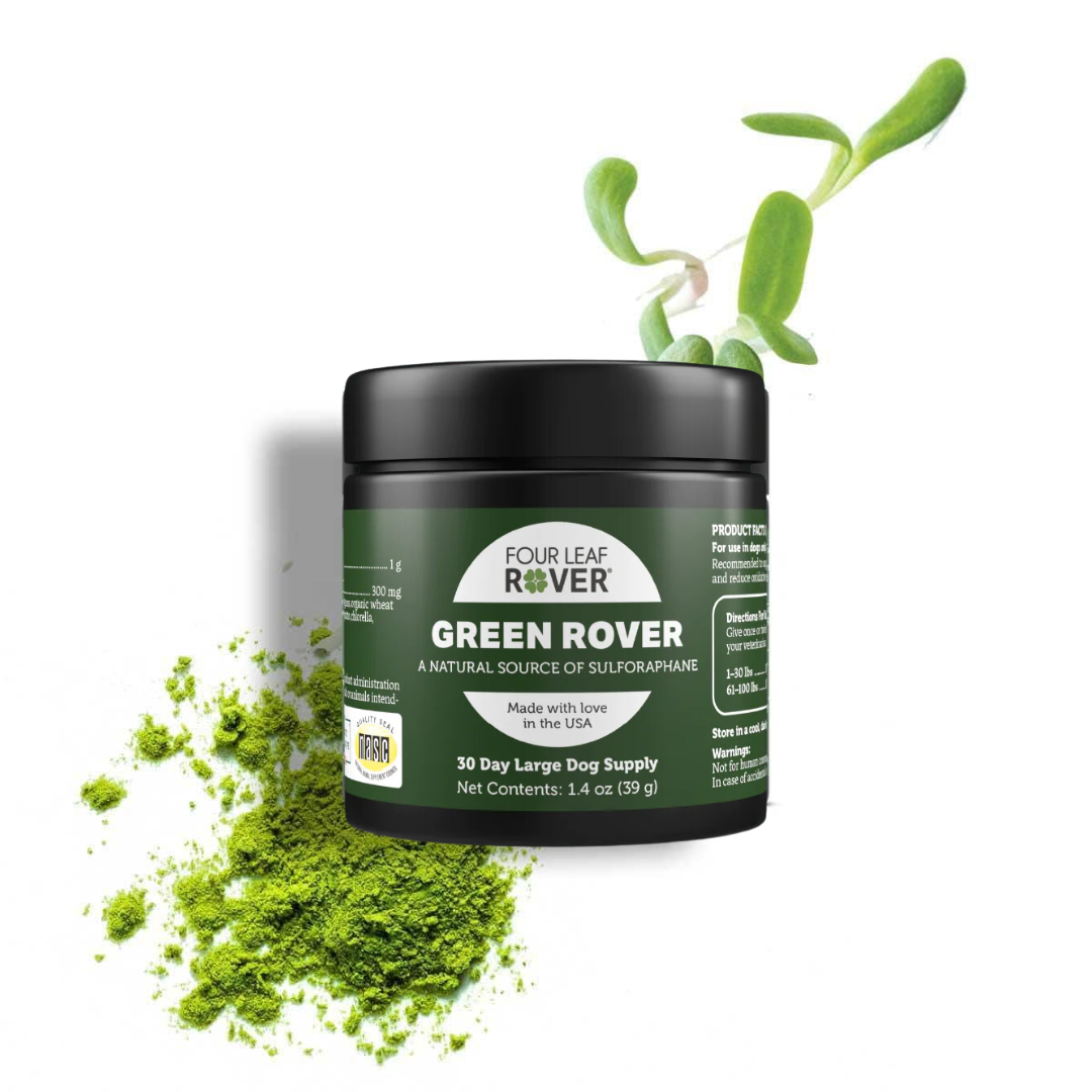 The Four Leaf Rover - Green Rover 39g against a white background with the fresh ingredients displayed alongside it