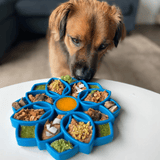 SodaPup Mandala Enrichment Tray