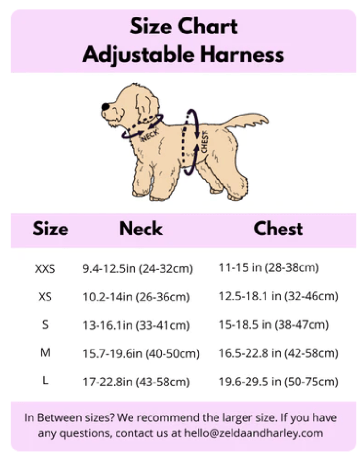 Zelda and Harley Blue Sole Mates Harness