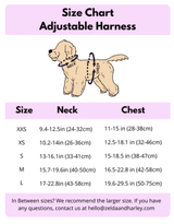 Zelda and Harley Blue Sole Mates Harness