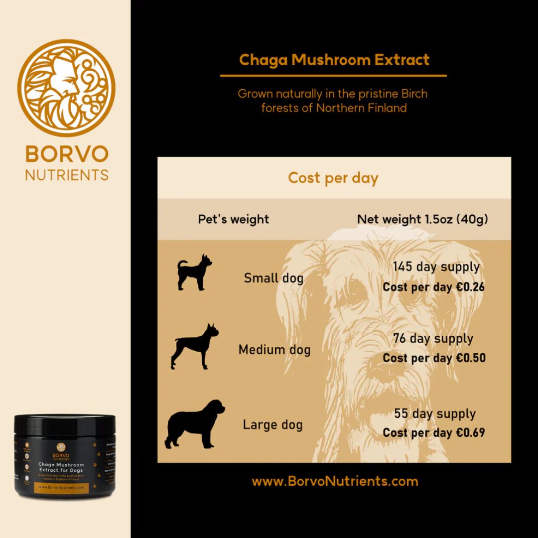Chaga Mushroom Extract for Dogs - Borvo Nutrients