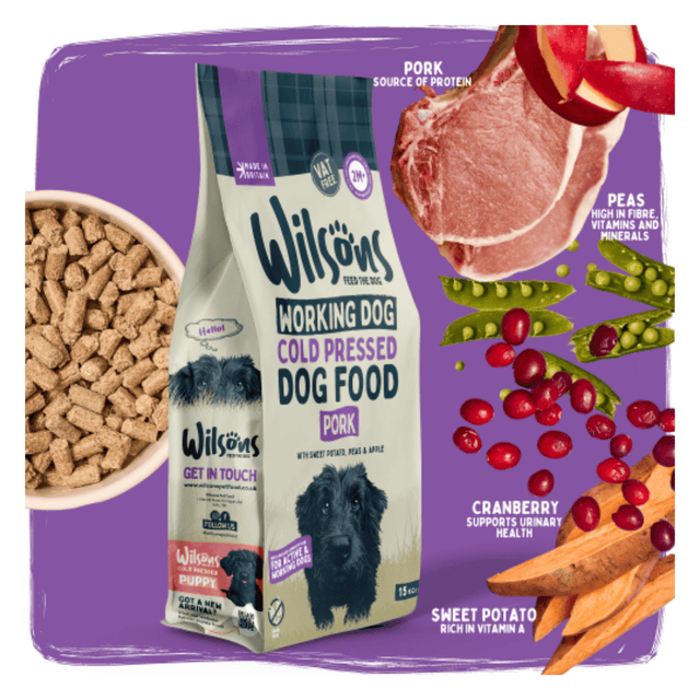 Wilson's Working Dog Cold Pressed Dog Food package with ingredients on a purple background