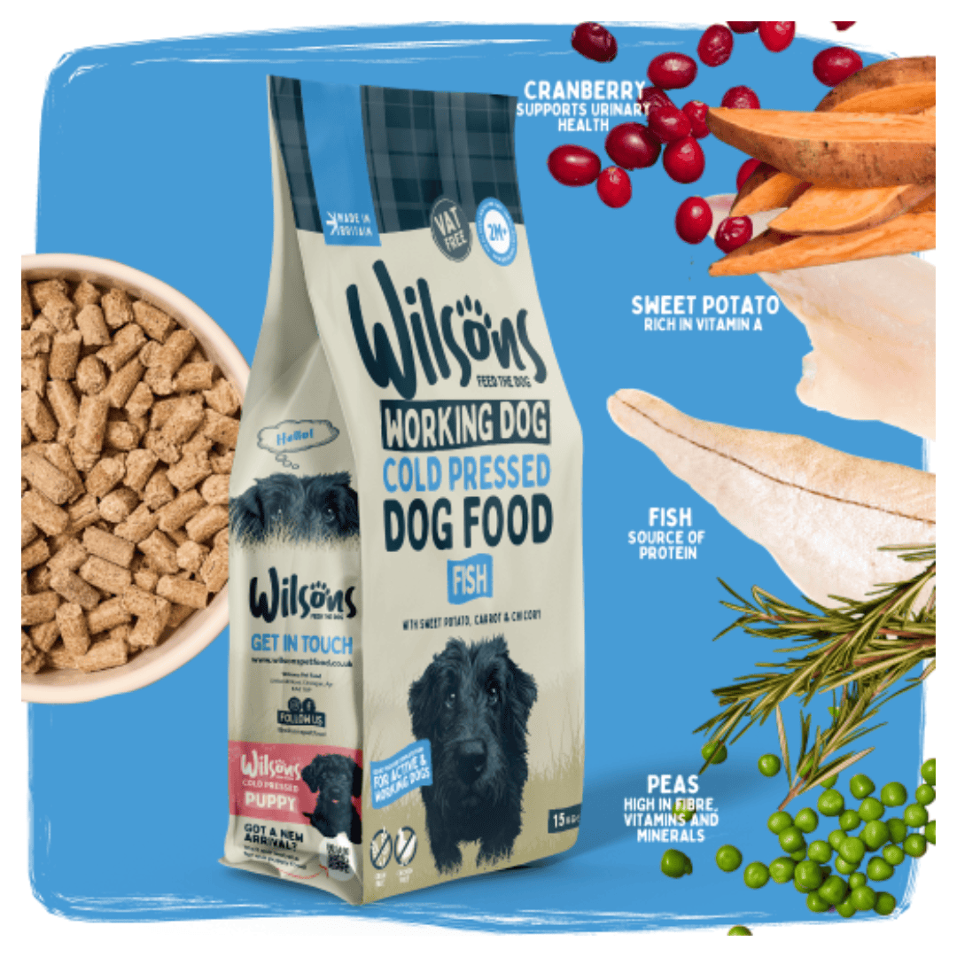 A bag of Wilsons Working Dog Cold Pressed Dog Food (Fish flavor) is shown on a bright blue background, surrounded by ingredient callouts and a bowl of the kibble. The bag features a black dog graphic and text highlighting cranberry, sweet potato, fish, and peas.