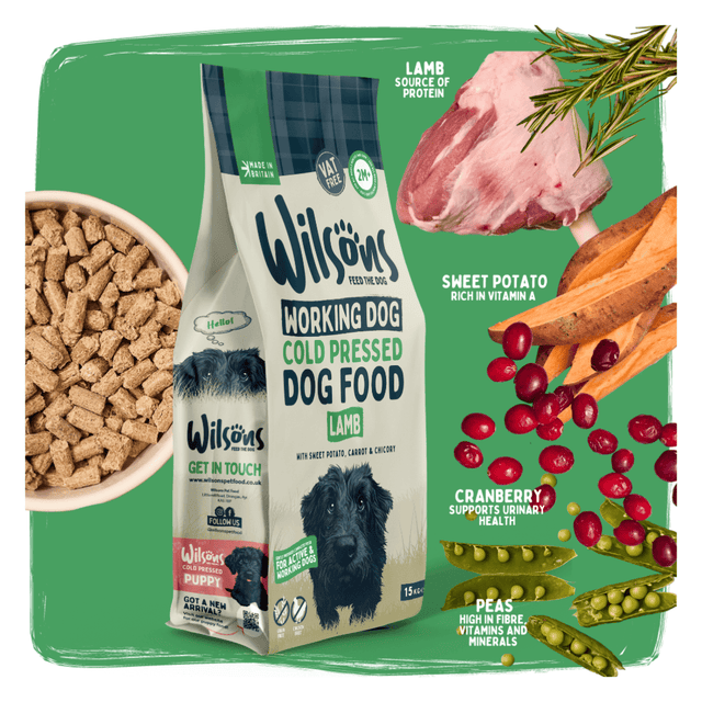 Wilson's Working Dog Cold Pressed Dog Food package with ingredients on a green background