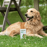 YuMove Joint Supplement Tablets for Dogs