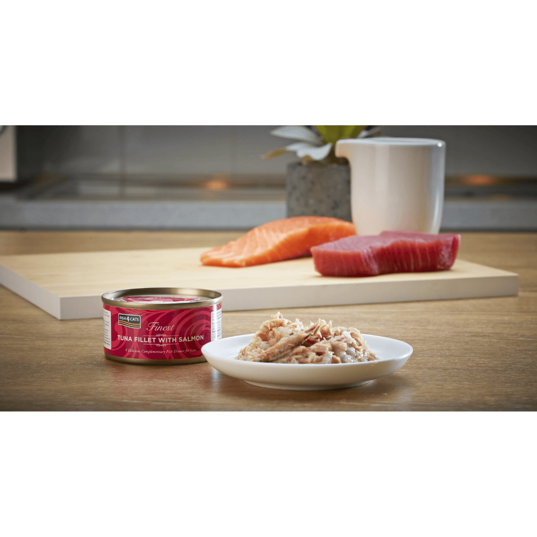 The  Fish 4 Cats Tuna & Salmon cat food served on a plate with a soft, fish consistency. The tin is placed beside it. In the background there is fresh tuna and salmon on display.