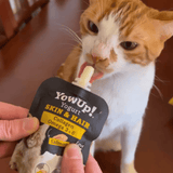 YowUp! Cat Yoghurt - Salmon Skin & Coat