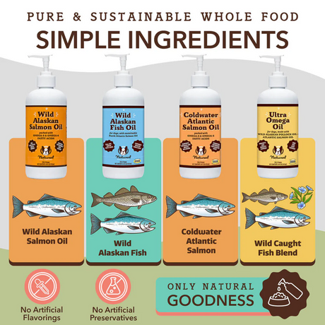 An infographic showing all types of fish oils made by Natural Dog Company.