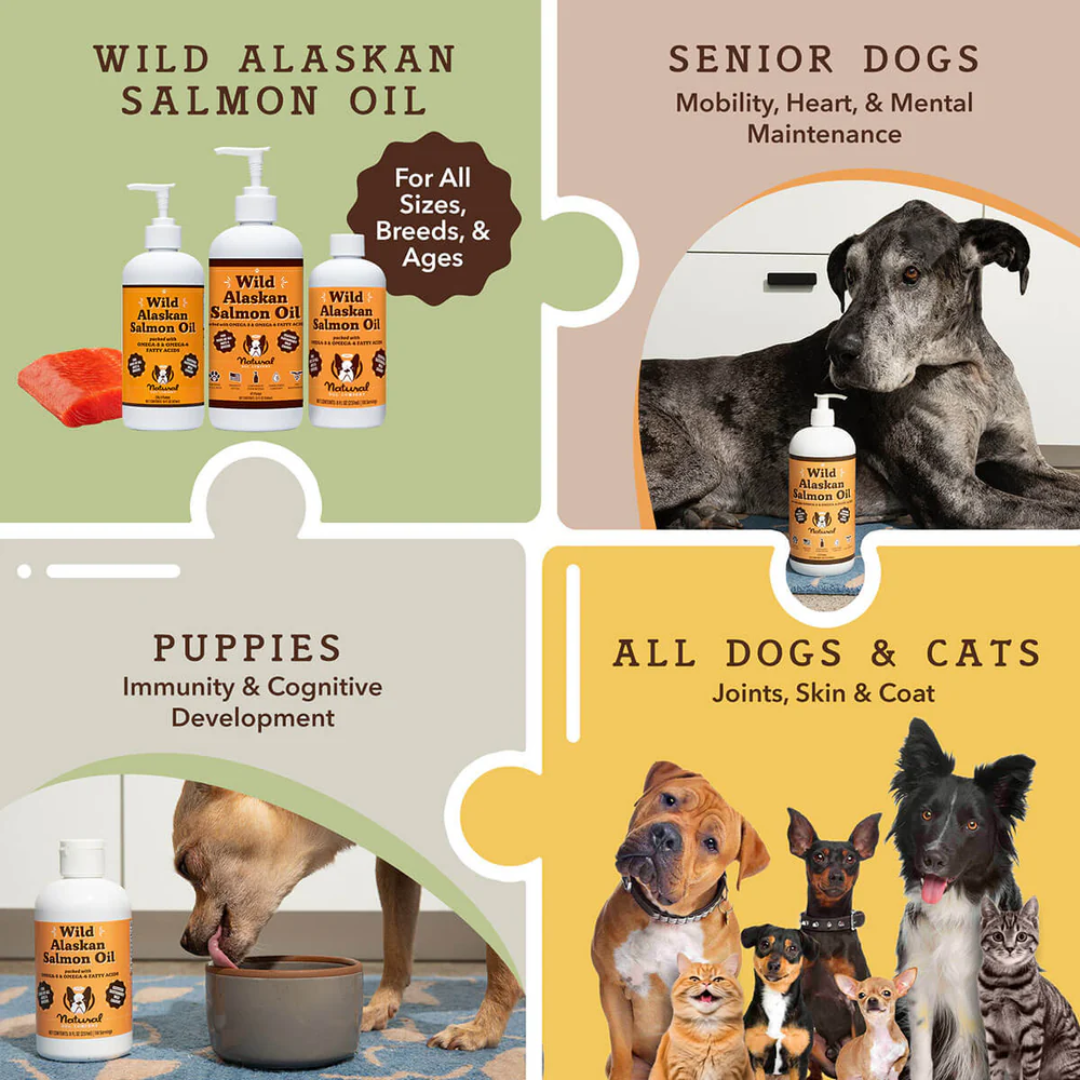 An infographic showing how the Natural Dog Company Wild Alaskan Salmon Oil is suitable for all dogs and why