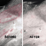 A before and after photo of a customer who used this product on their dog.