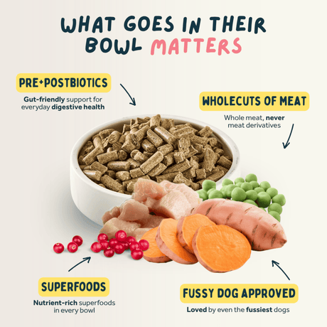 Dog food bowl with ingredients labeled as pre/postbiotics, wholecuts of meat, superfoods, and fussy dog approved.