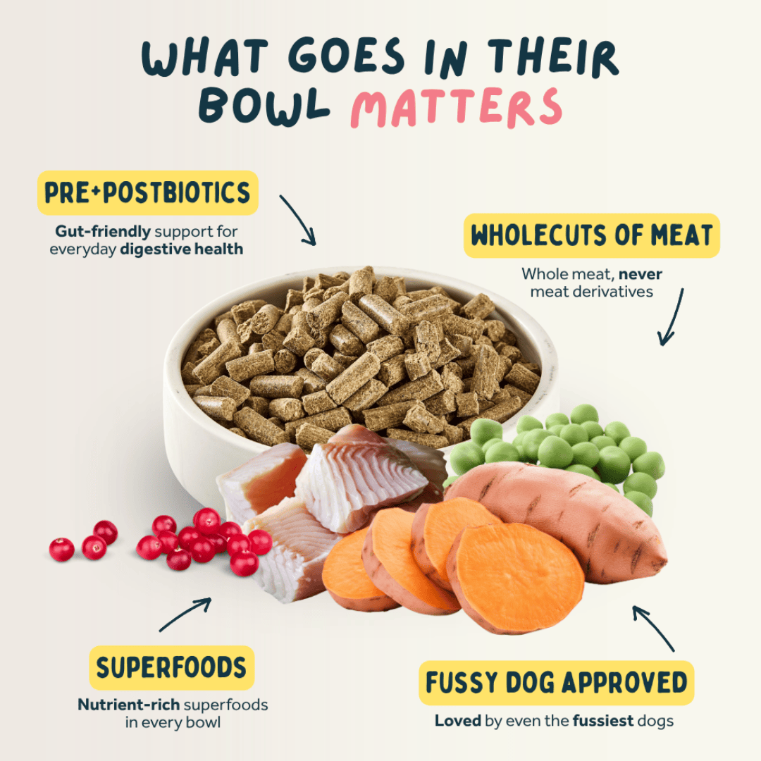 An infographic-style pet nutrition graphic with a bowl of dog kibble centered on a light beige background. Arrows point to the kibble and surrounding food items labeled 'PRE+POSTBIOTICS,' 'WHOLECUTS OF MEAT,' 'SUPERFOODS,' and 'FUSSY DOG APPROVED.