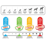Nylabone Puppy Bone Starter Kit