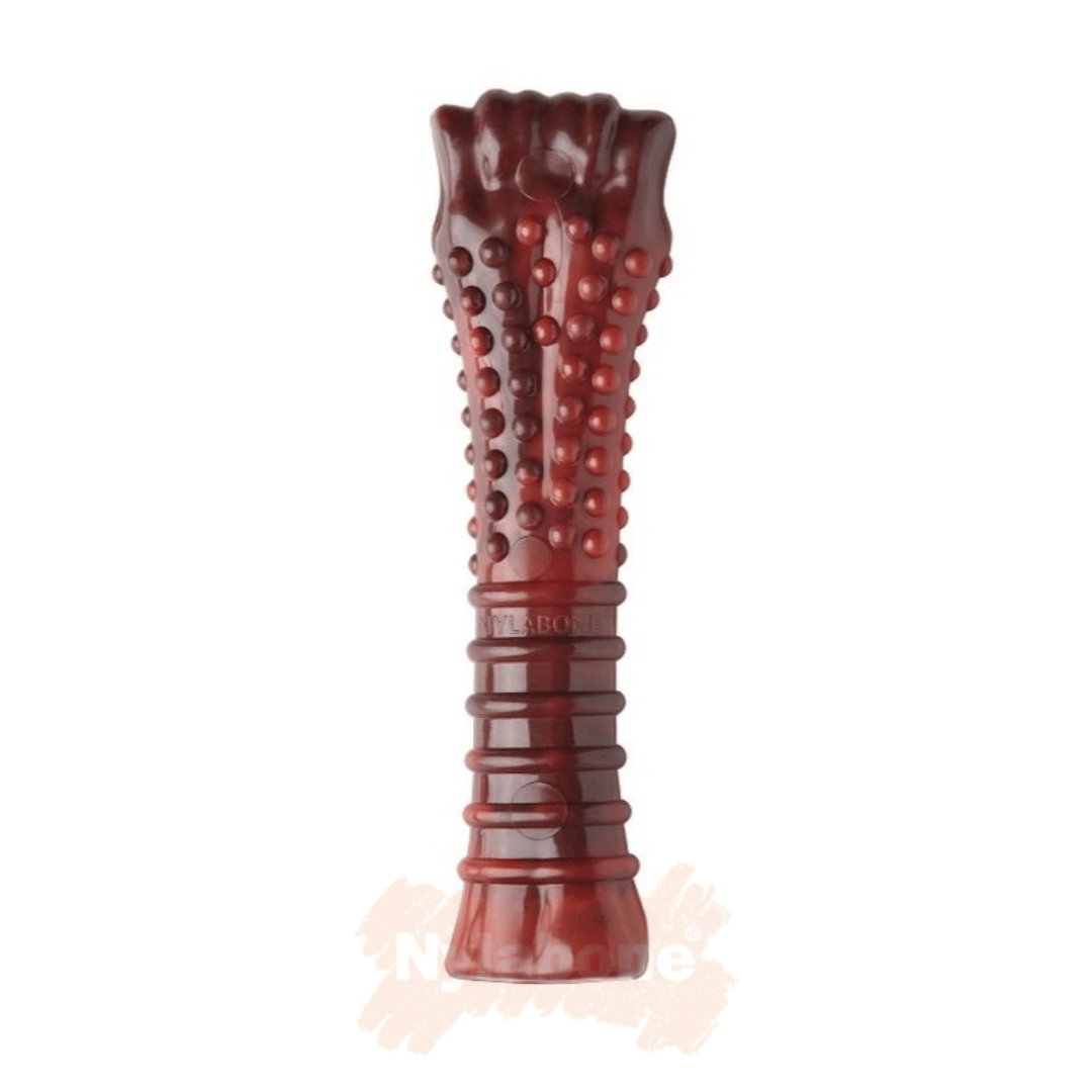 Nylabone Dura Chew Beef Jerky XL against a white background