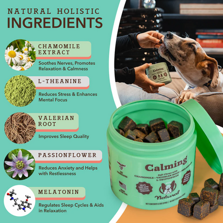 The ingredients of the Natural Dog Company Supplement Chews listed alongside its benefits. There is an image of a dog being fed a chew beside it. An image of the Natural Dog Company Supplement Chews tub, opened, is in the foreground of the image, You can see the treats inside.