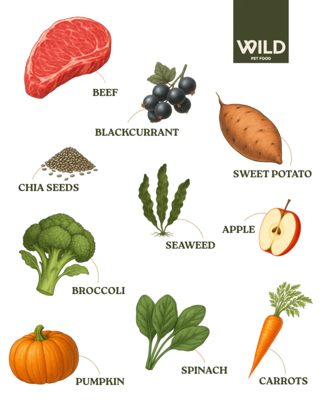Wild 80:20 Beef Cold Pressed Dog Food