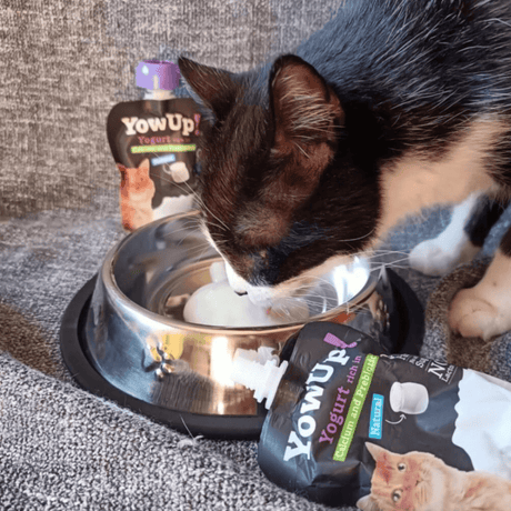 YowUp! Cat Yoghurt - Natural Prebiotics