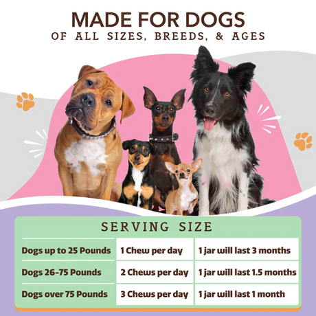 A table of feeding guidelines for The Natural Dog Company Aller-Immune Chews. Images of different dog breeds above the table.