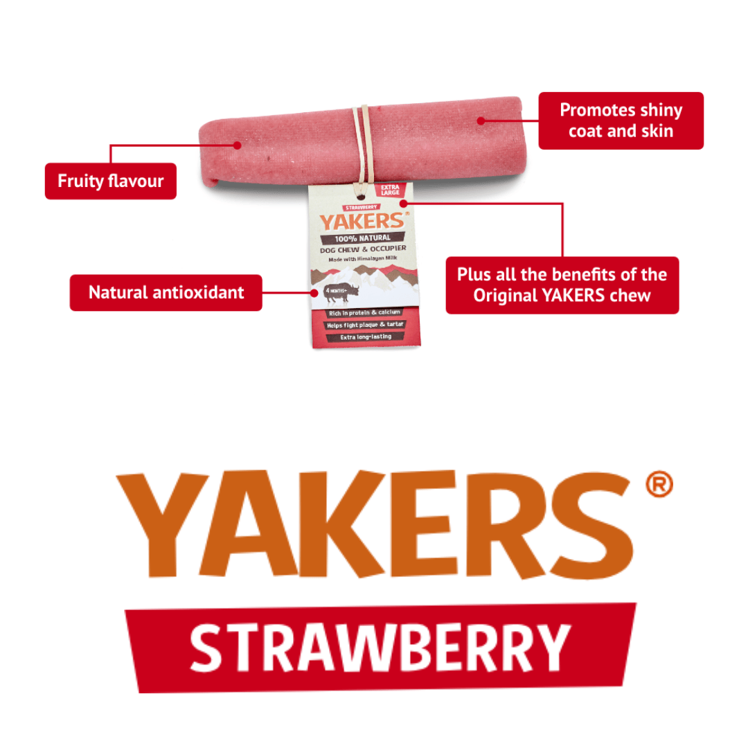 Yakers Strawberry Himalayan Yak Chew