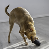 Kong Extreme Dog Toy