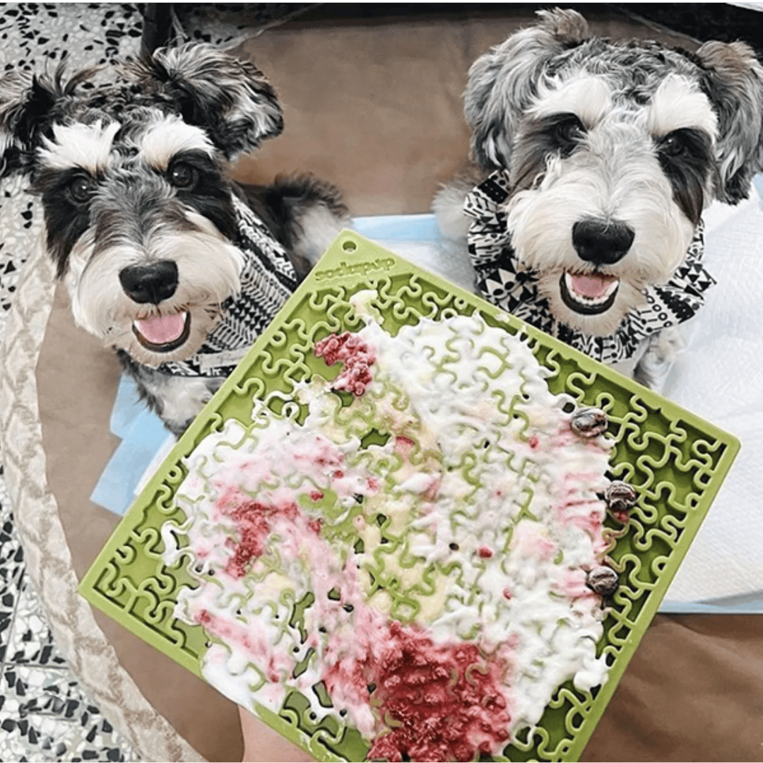 Two happy pups waiting for their Sodapup Jigsaw lickmat. Yoghurt and berries spread on it