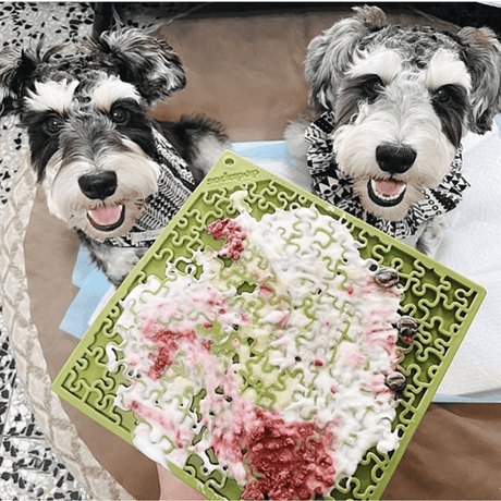 Two happy pups waiting for their Sodapup Jigsaw lickmat. Yoghurt and berries spread on it