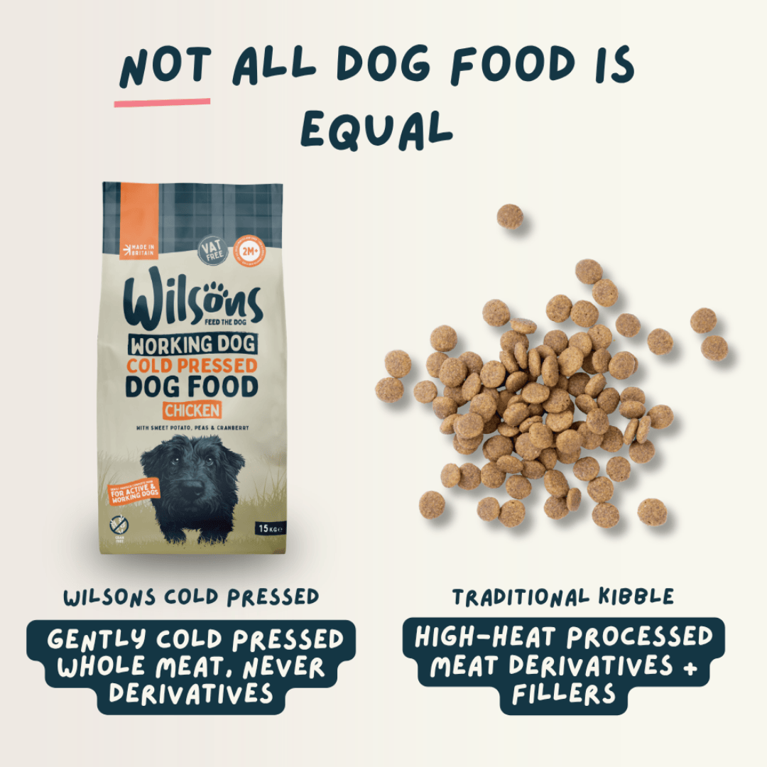 A comparison graphic for Wilsons dog food showing a bag of Working Dog Cold Pressed Dog Food on the left and loose traditional kibble on the right, with text comparing the cold-pressed whole meat to traditional heated processed meat derivatives and fillers.