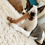 Nylabone Dura Chew Souper