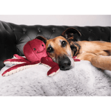 A dog and a Fluff & Tuff Olympia Octopus Plush Dog Toy are on a couch. Toy is a berry colour with a textured beige underside of the tentacles. 