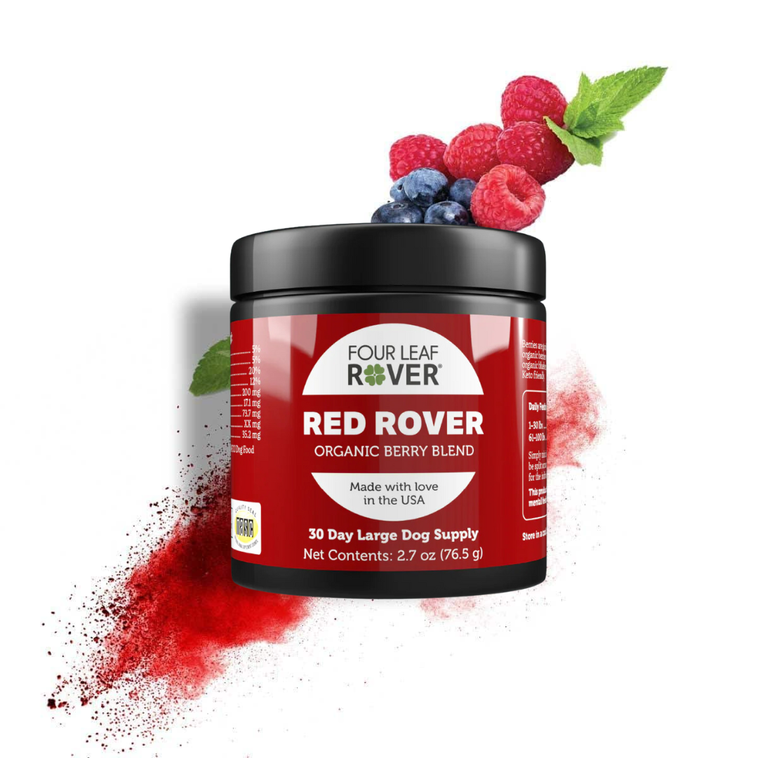 The Four Leaf Rover - Red Rover Organic Berry Blend supplement with some berries and powder surrounding the tub 
