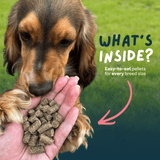 Dog looking at a hand holding dog food pellets with text about easy-to-eat pellets for every breed size.