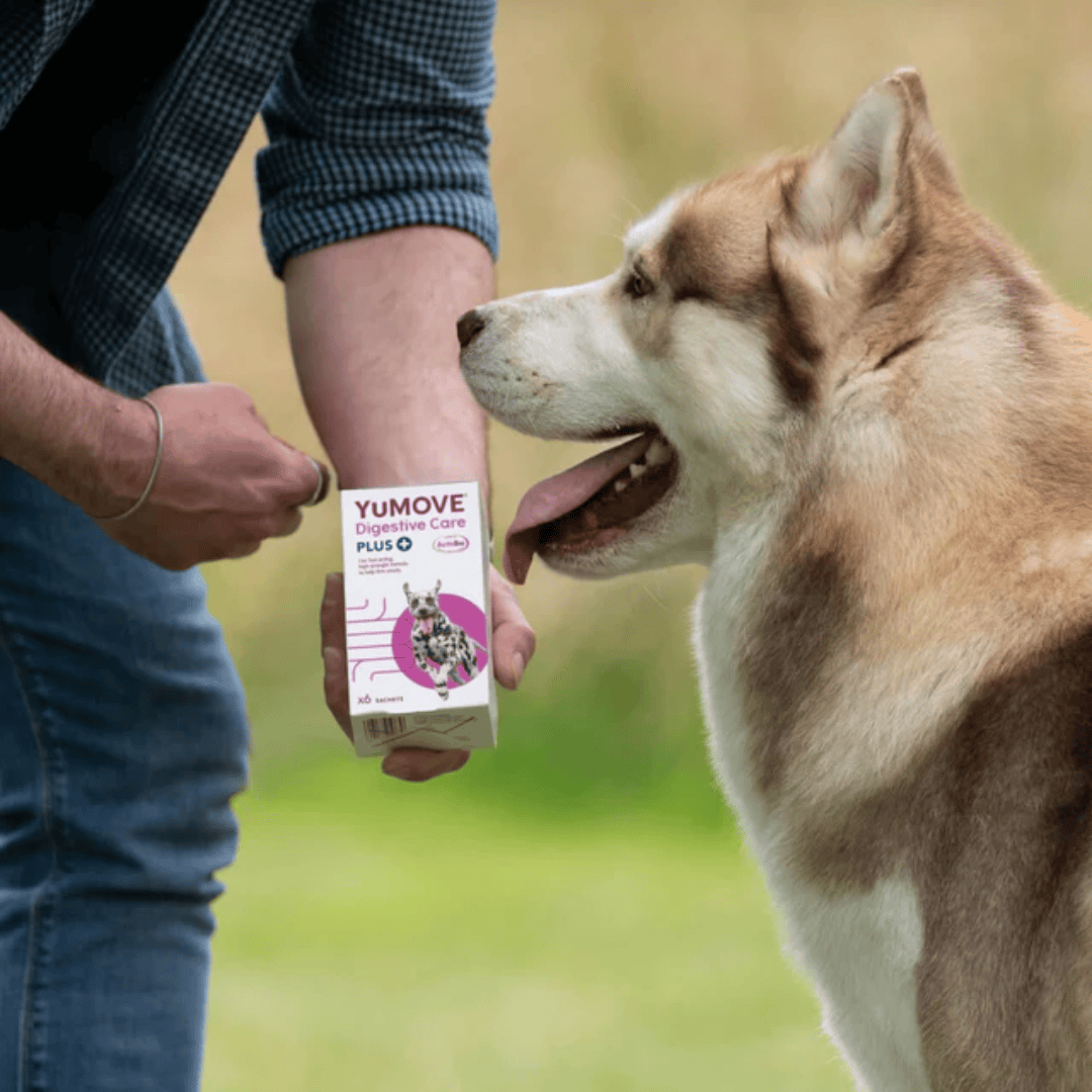 YuMove Digestive Care PLUS Sachets
