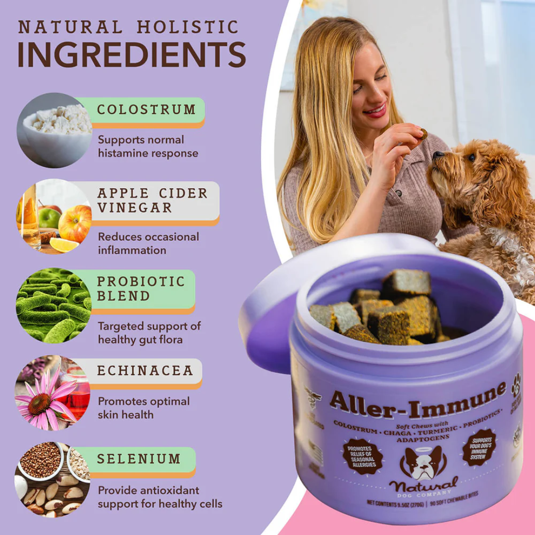 A list of active ingredients in The Natural Dog Company Aller-Immune Chews. Each ingredient has an explanation of what it does. There is an open tub of the The Natural Dog Company Aller-Immune Chews and an image of an owner feeding her dog one 