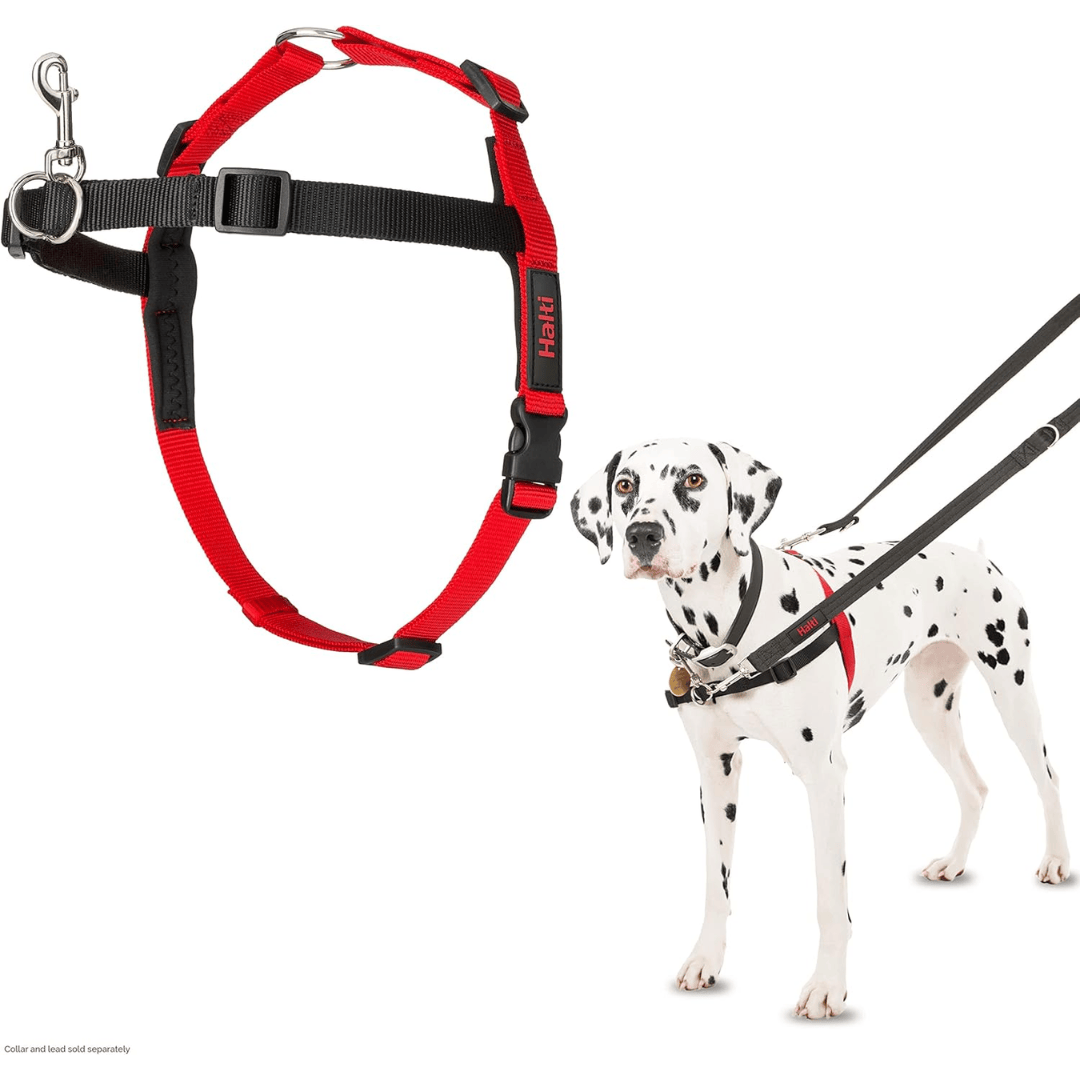 Halti Front Control Harness
