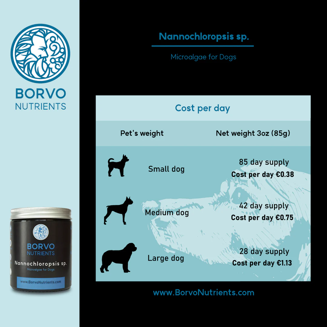 Nannochloropsis Sp. for Dogs - Borvo Nutrients