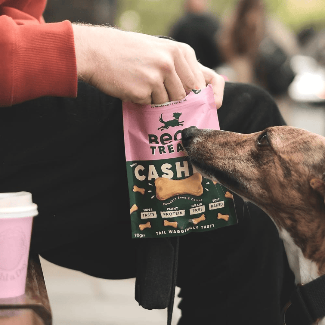 Beco Cashew with Pumpkin Seed & Carrot Dog Treats