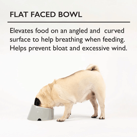 Flat faced bowl - Elevated food on an angled curved surface to help breathing when feeding. Helps prevent bloat and excess wind.