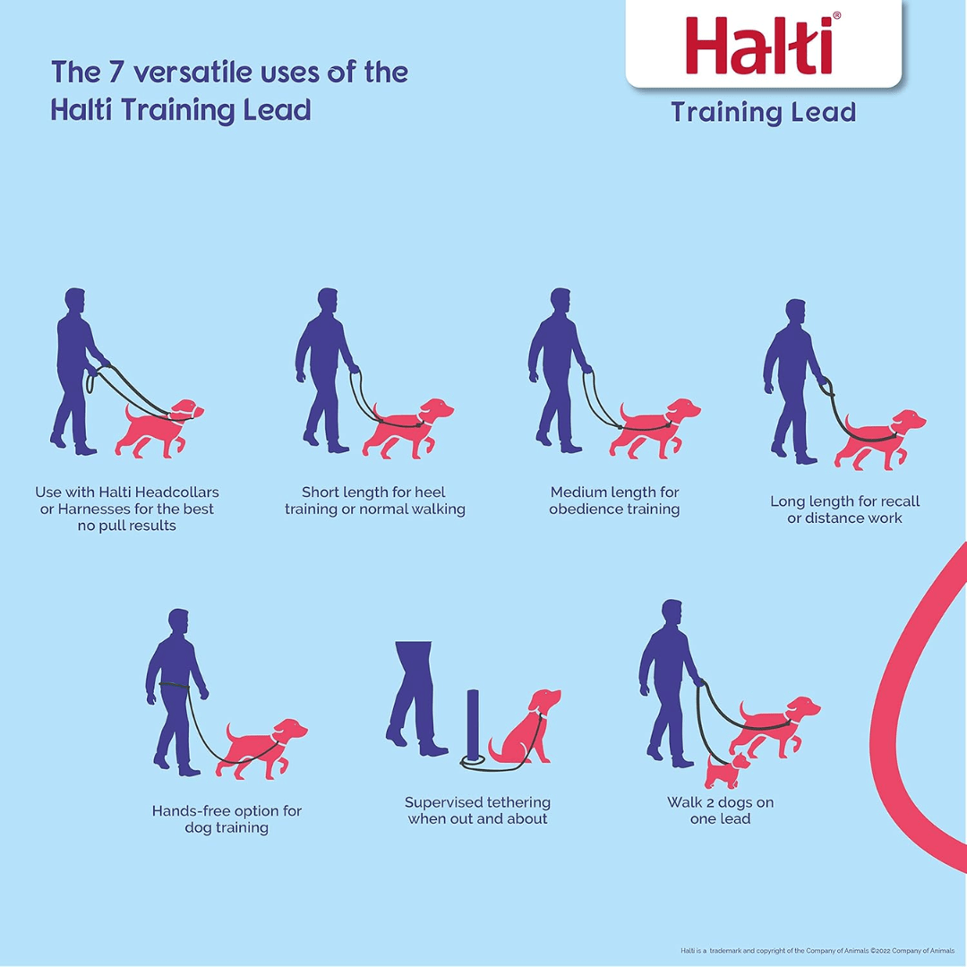 Halti Training Lead