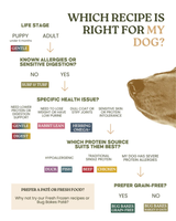 Wild 80:20 Beef Cold Pressed Dog Food