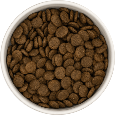 White ceramic bowl of Nourish Rite Grain Free Adult Dog Food in Turkey