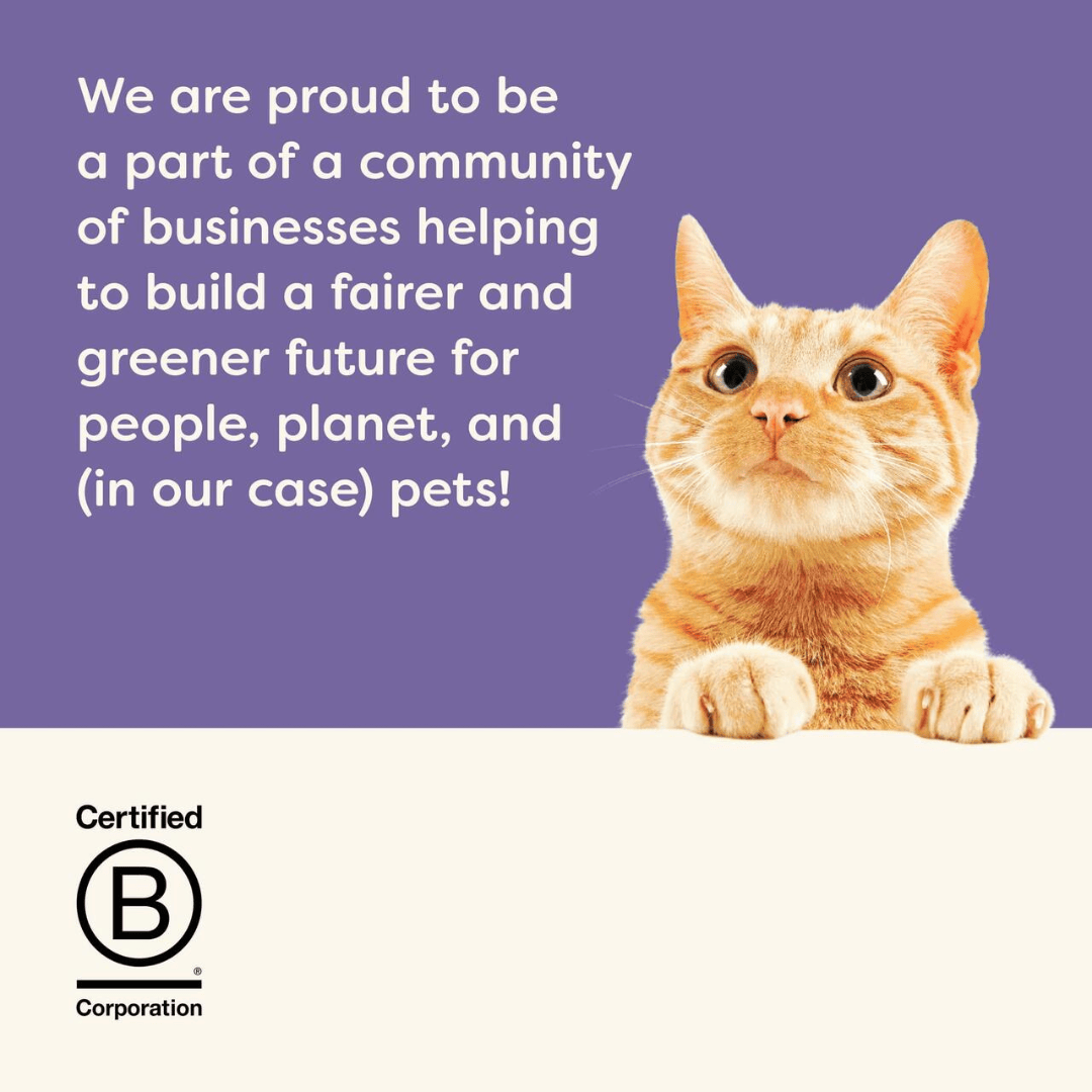 A promise to build a greener future for all from the Applaws' company