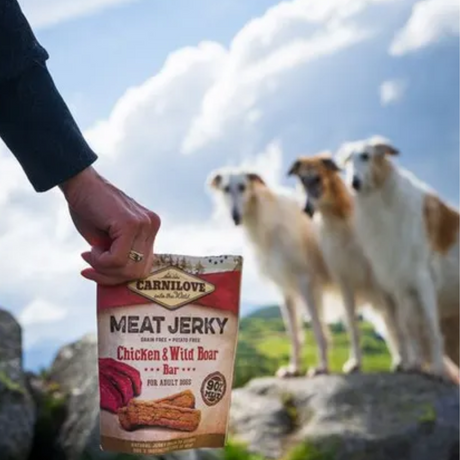 3 Afghan hounds in the background looking onto their owners hand holding on to Carnilove Chicken & Wild Boar Jerky Treats.