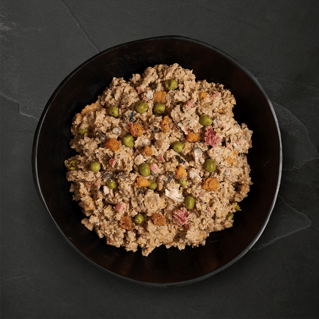 Canagan Salmon and Herring Supper Wet Food 400g served in a bowl. Chunky, mince like texture with vegetables.