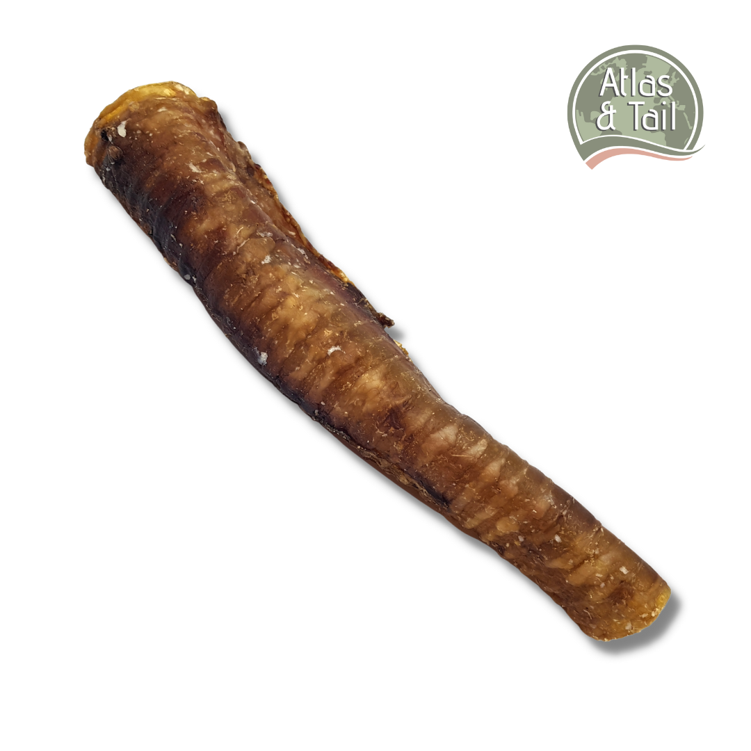 Whole Beef Tube | Trachea