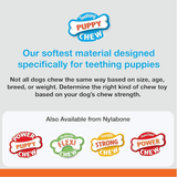 Nylabone Puppy Bone