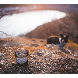 An image taken by a lake of the Carnilove Pheasant with Raspberry leaves dog food and a black and white dog looking at it from a distance.