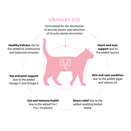 A circular infographic with a pink cat silhouette in the center and text around it describing benefits for Grandorf urinary S/O cat food, kidney health, hip and joint support, skin and coat condition, gut and immune health, and stress relief.