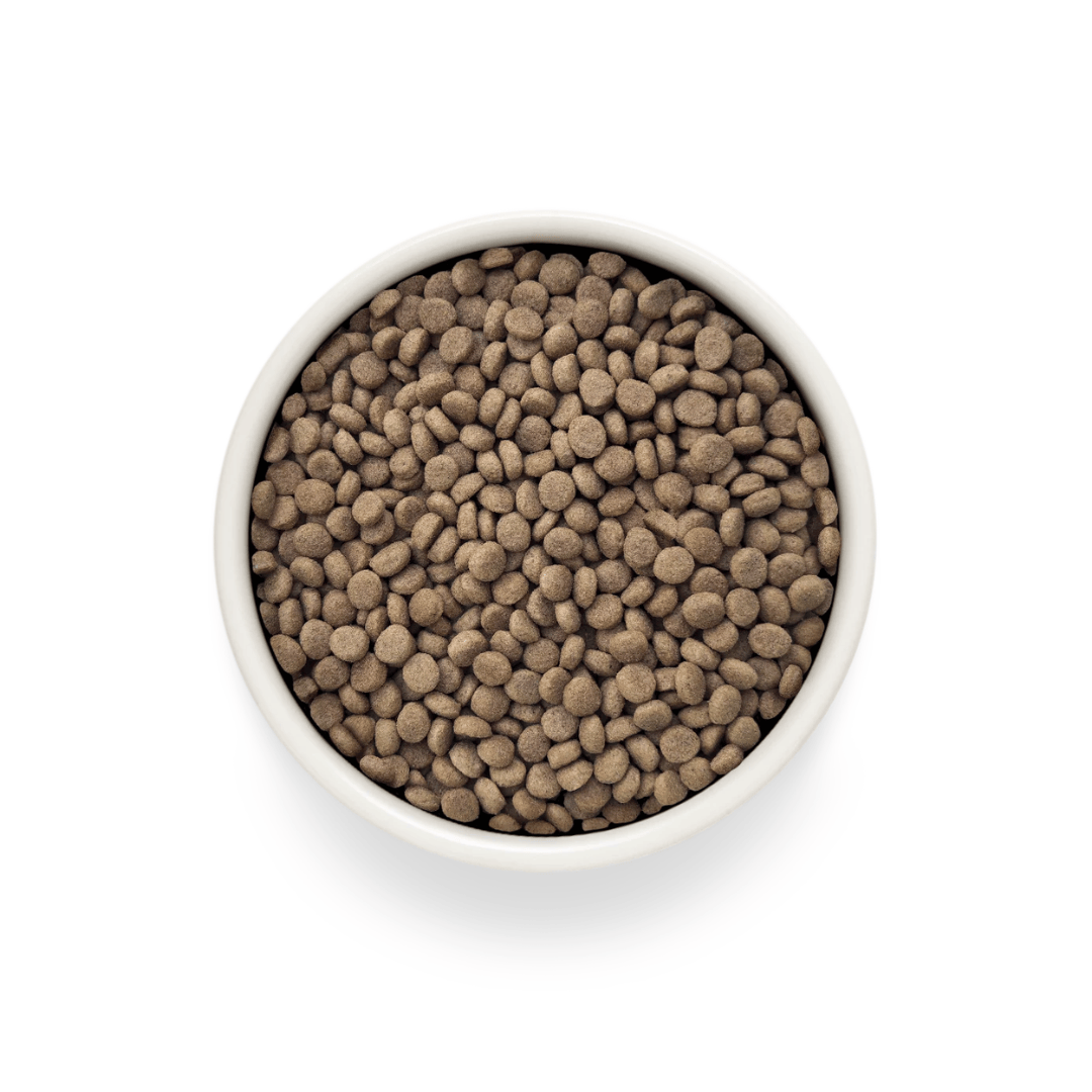 Grandorf Vet Urinary S/O Cat Food - Turkey
