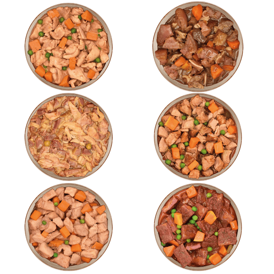 Arquivet Fresh Home Variety 6 Pack